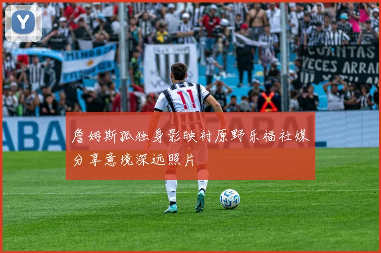 詹姆斯孤独身影映衬原野乐福社媒分享意境深远照片